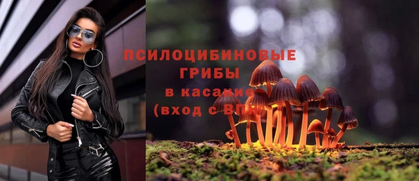 прущие грибы Алексеевка