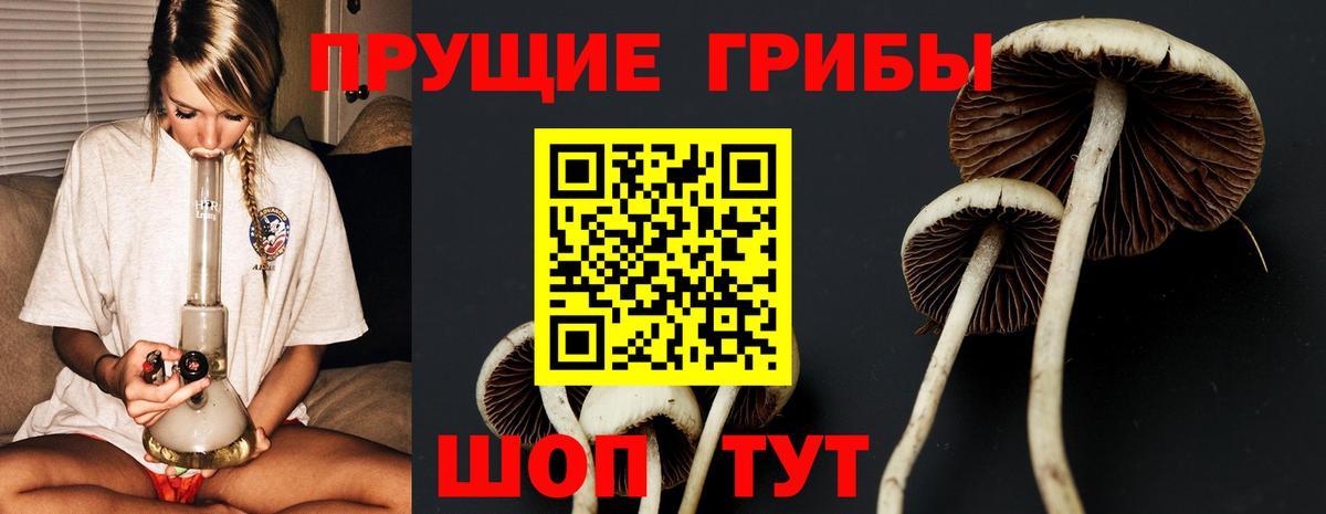 Псилоцибиновые грибы Psilocybine cubensis  Вход с VPN  Лесозаводск 