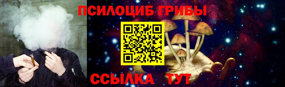 Галлюциногенные грибы прущие грибы Лесозаводск